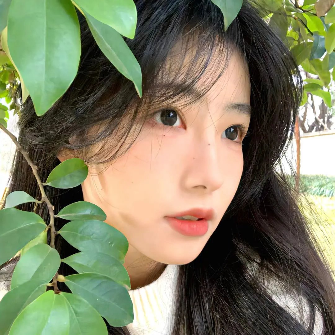 美人局